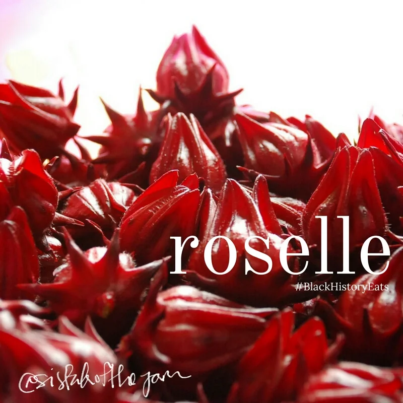 Source: mylittlevegetablegarden.blogspot.com