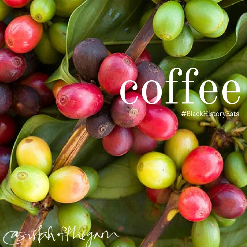 Source: www.fast-growing-trees.com