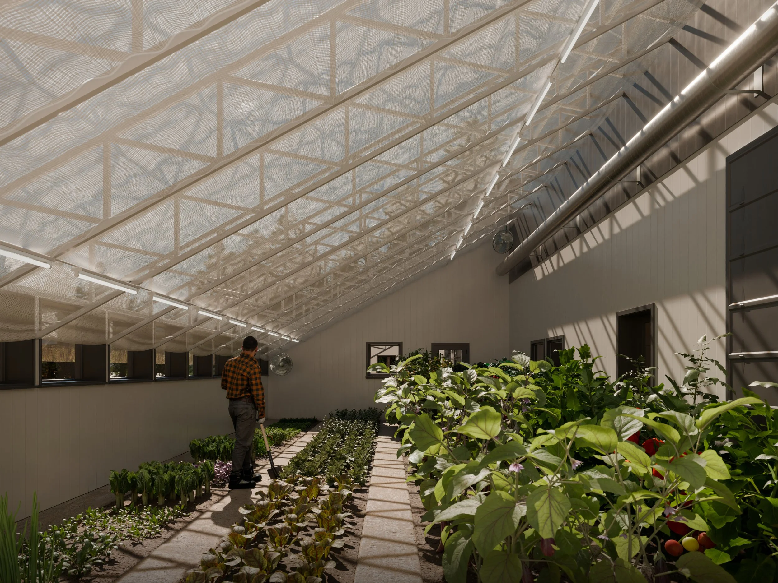 Indoor garden with lush green plants, sunlight streaming through a mesh roof, man pruning plants, and a pathway in the space.