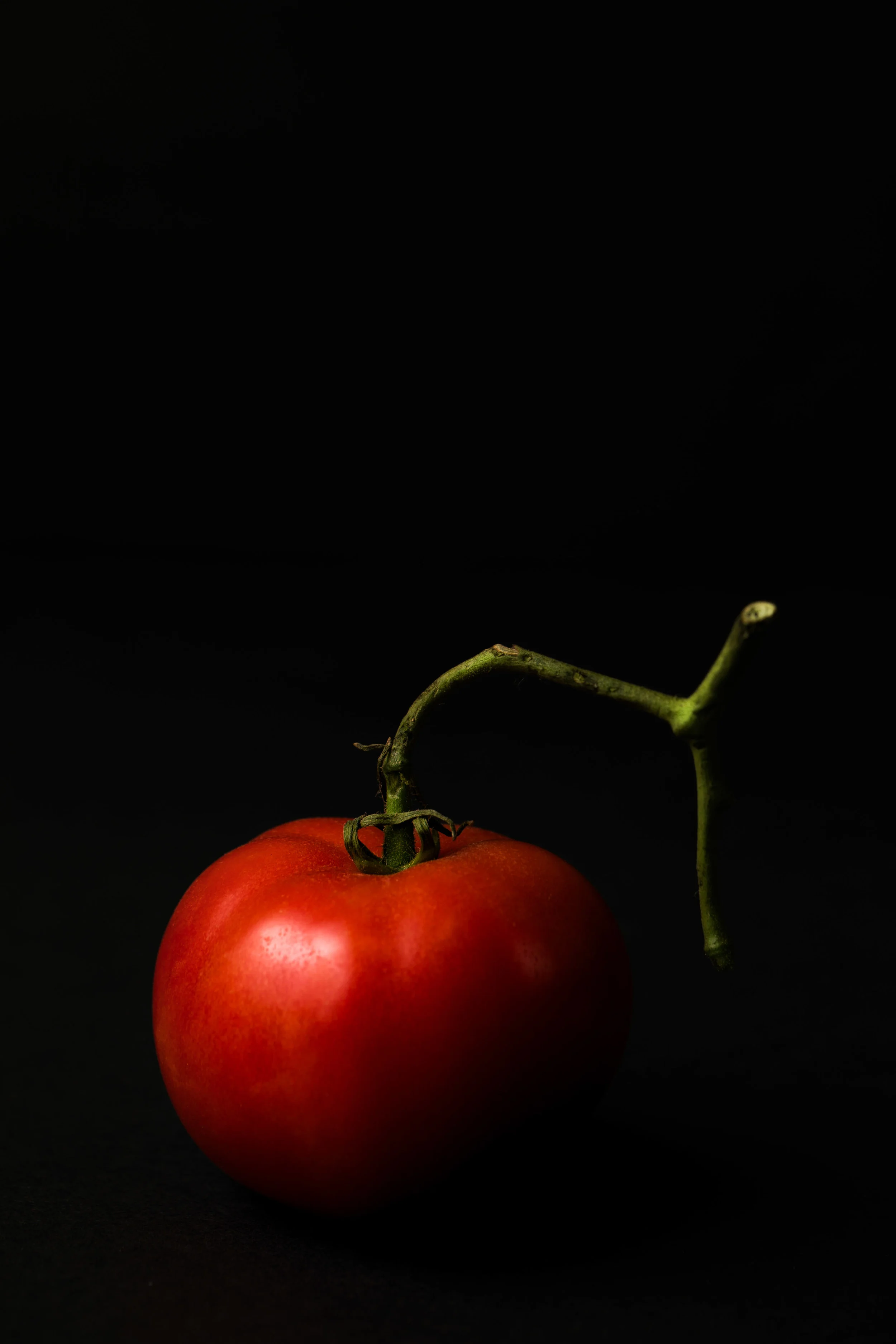 018-tomatoes-14.jpg