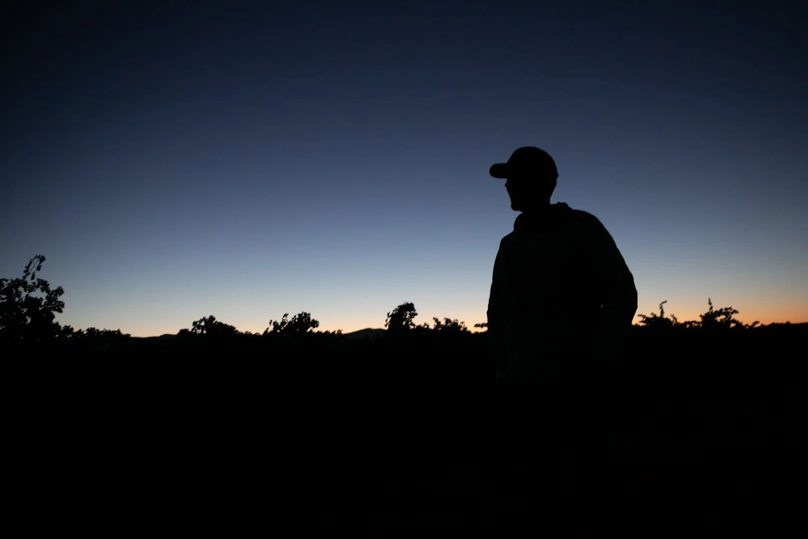 Waldman_Shelly_Harvestatsunrise_1.JPG