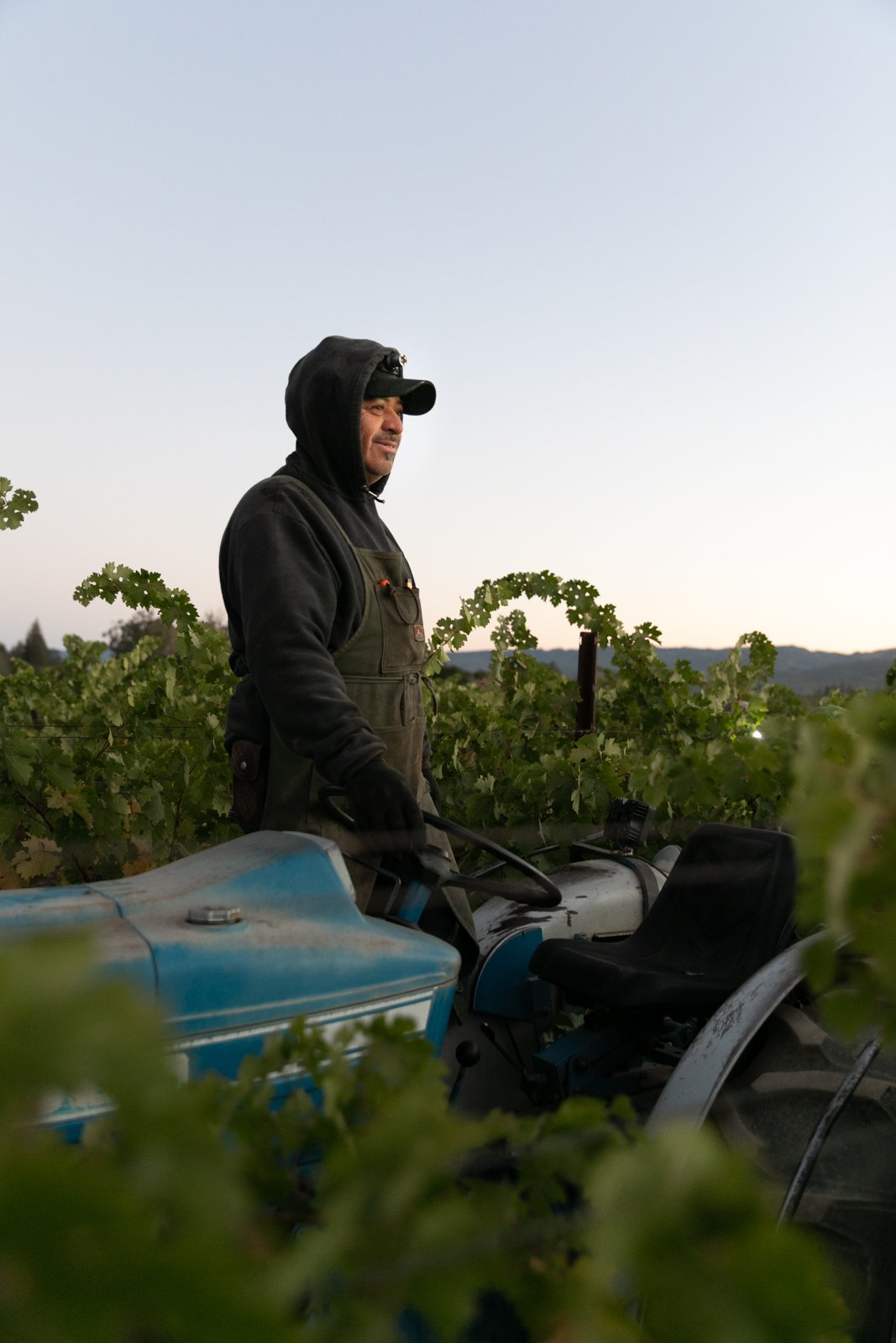 Waldman_Shelly_Harvestatsunrise_6.JPG