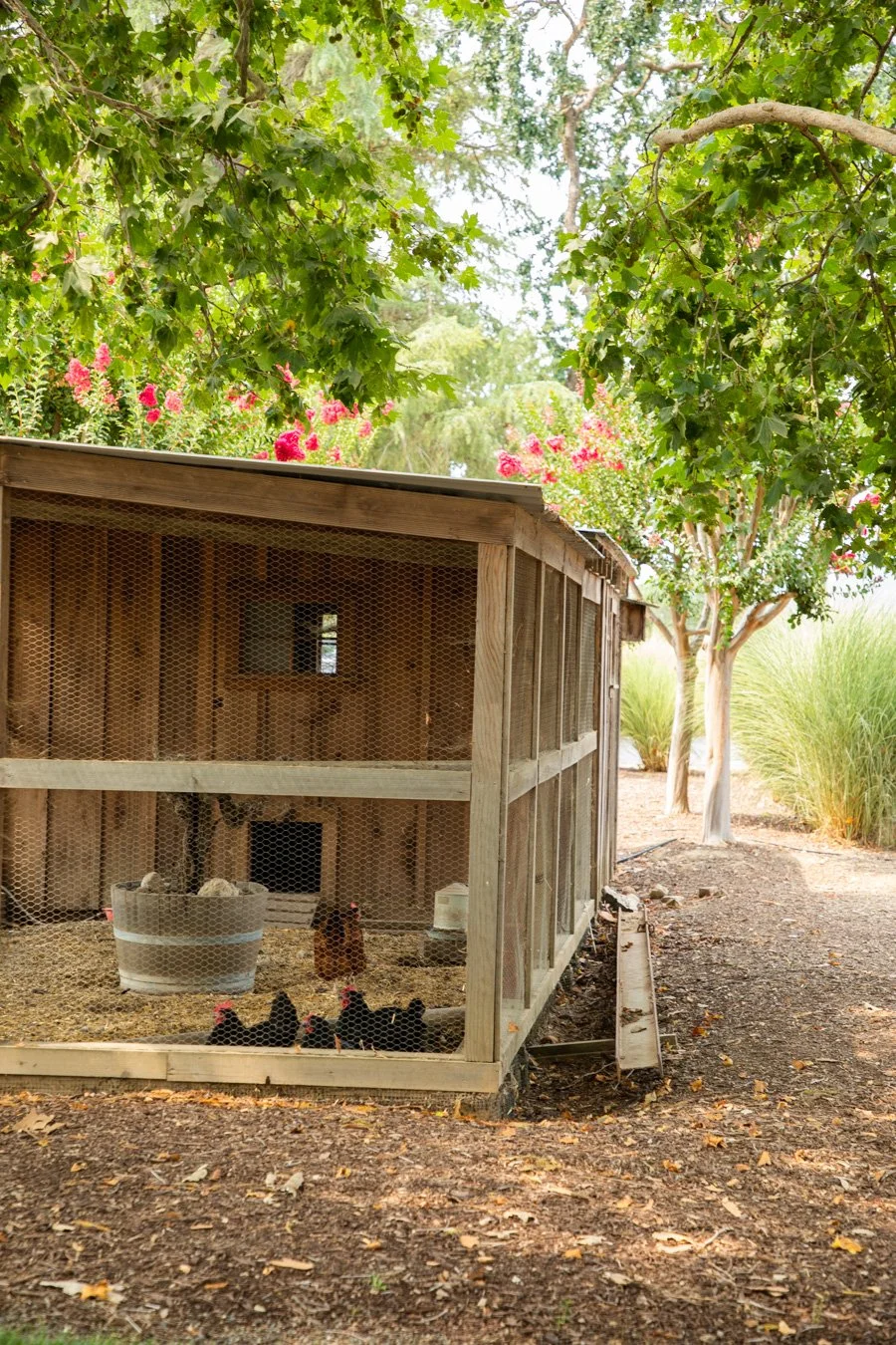 biale_winery-5702.JPG