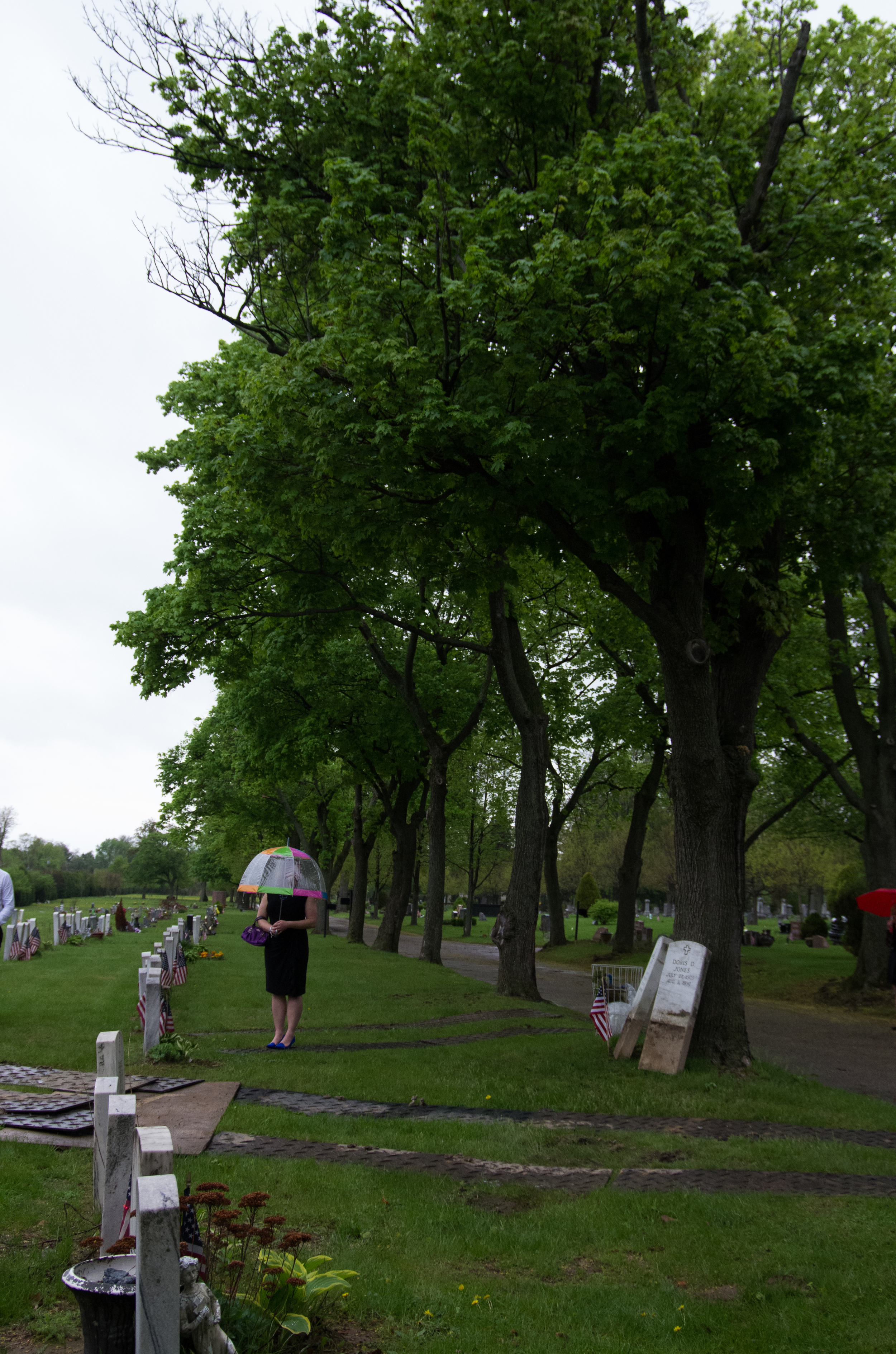 IMGP7849.jpg