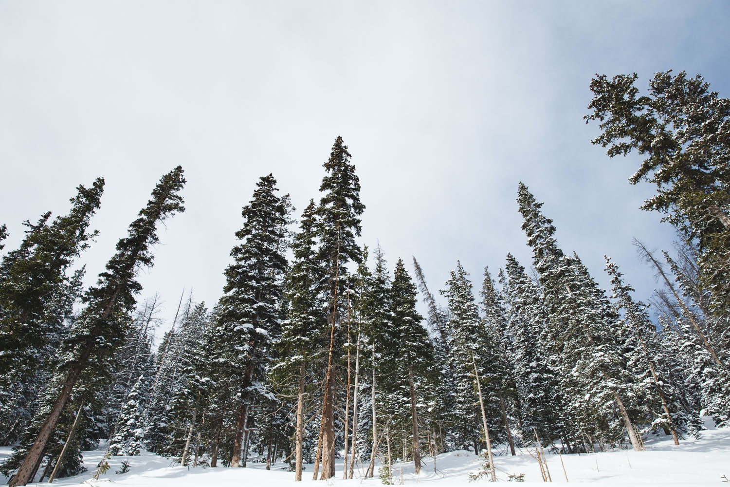MEDITATION ON 2015