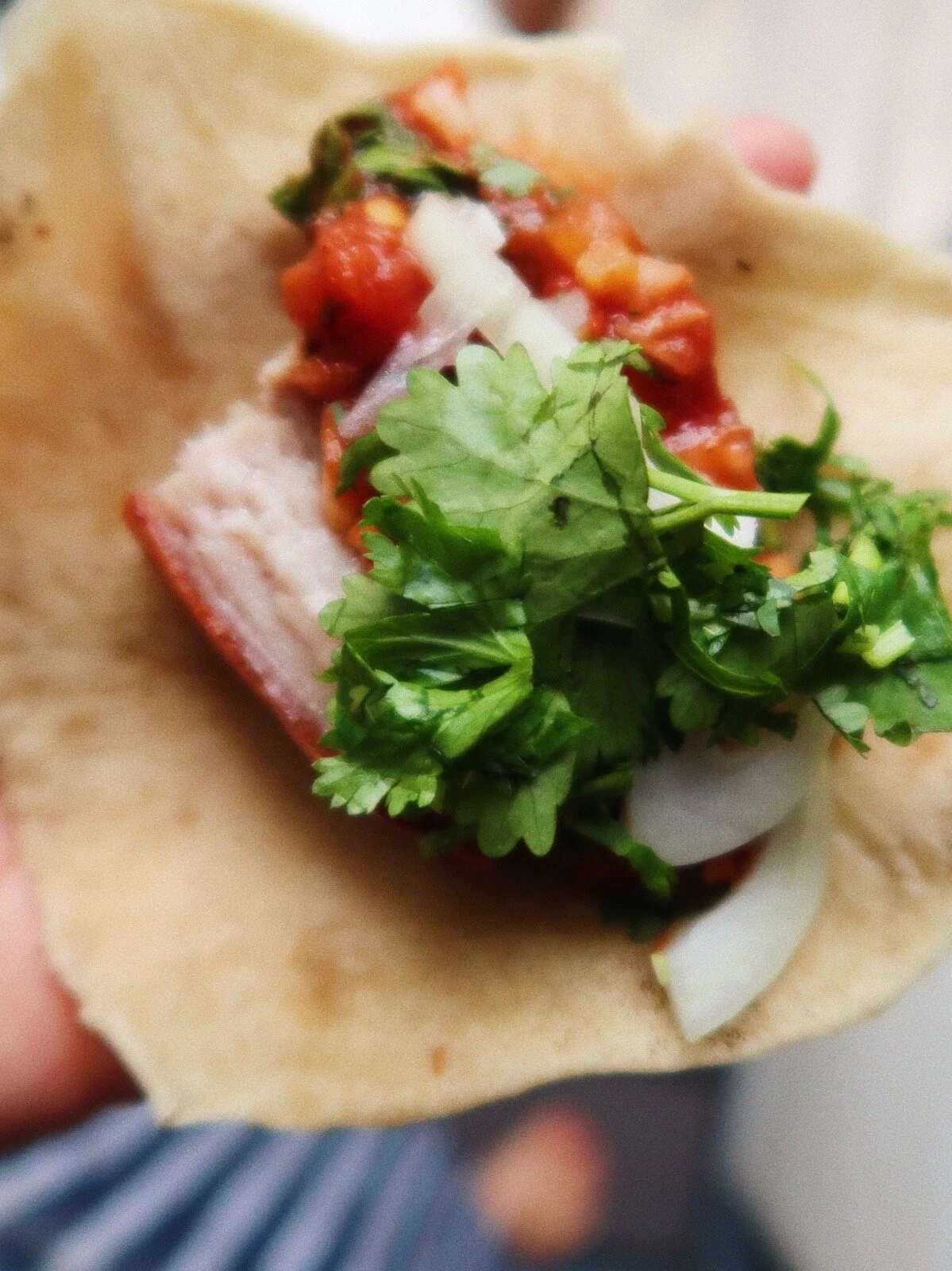 TACOS - CHICHARRON