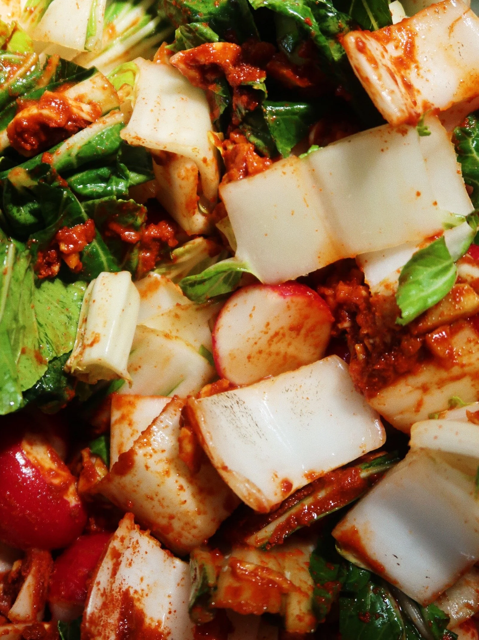 KIMCHI - BOK CHOY