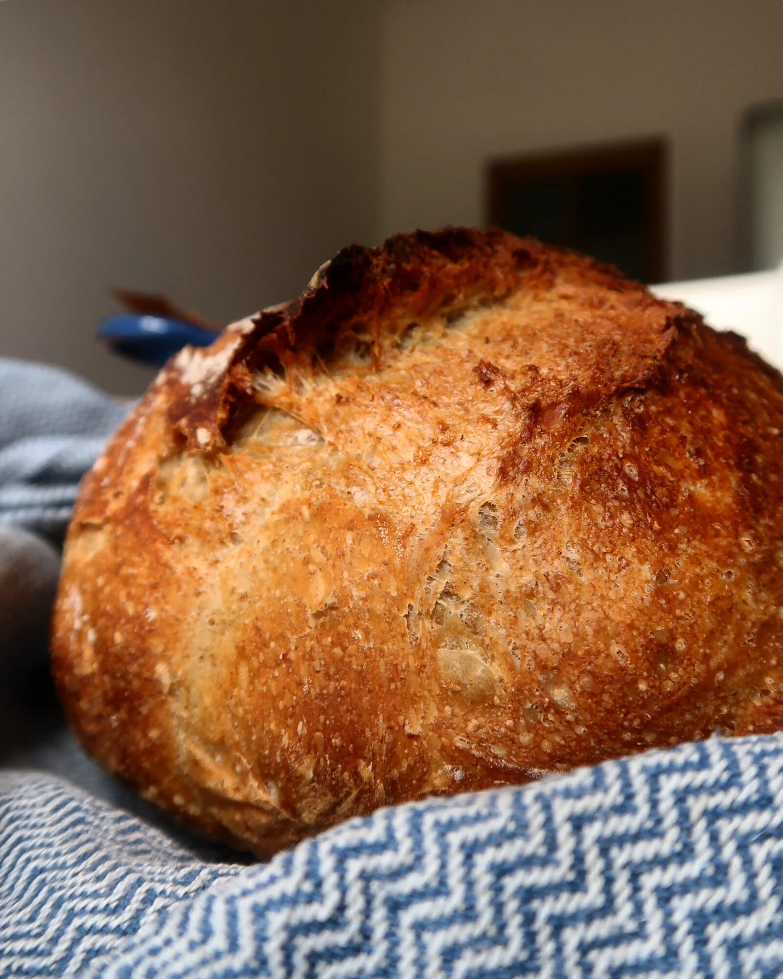 EVERYTHING I KNOW ABOUT SOURDOUGH