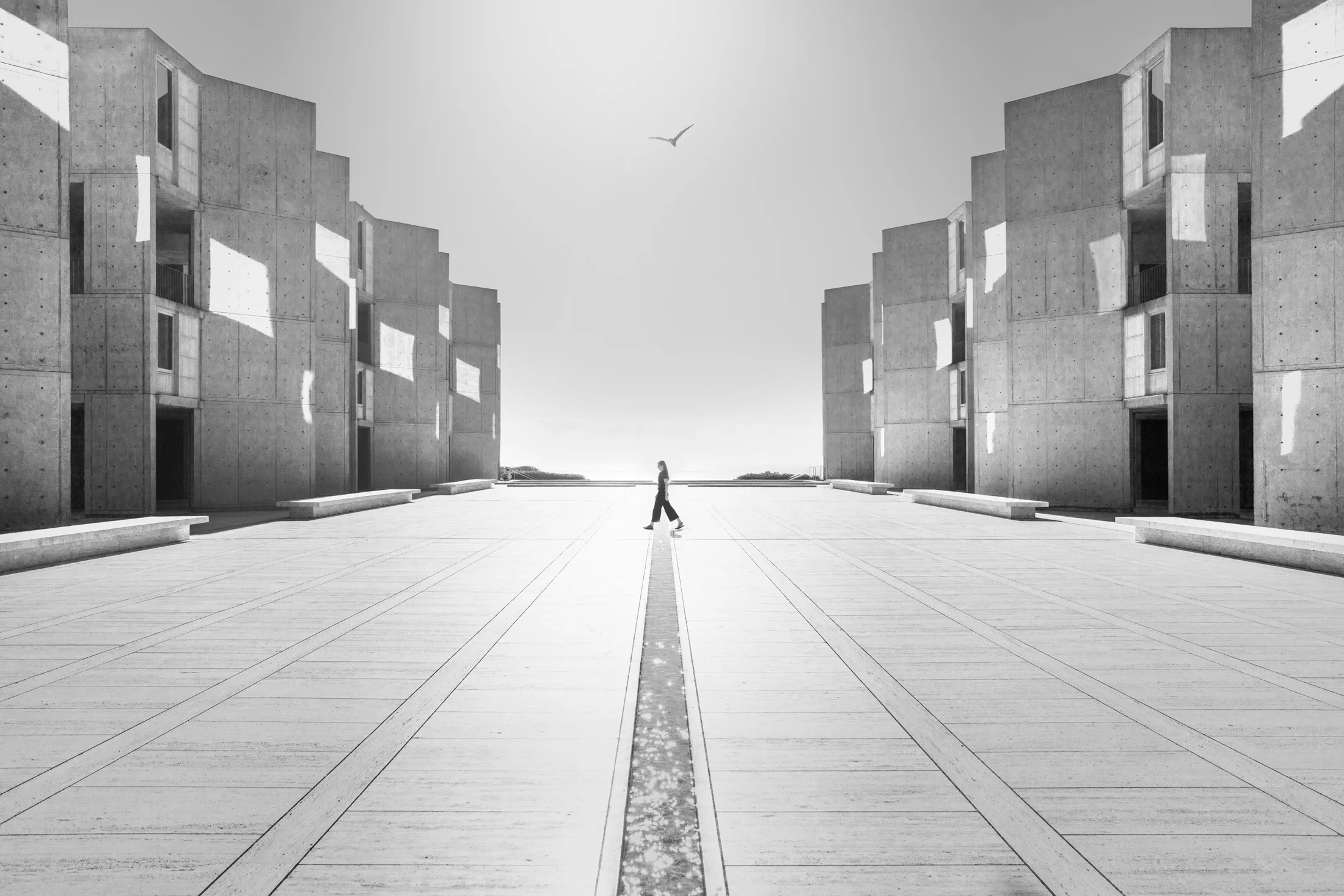 peterdawson_IMG_6450-Edit-2_BW_2.jpg