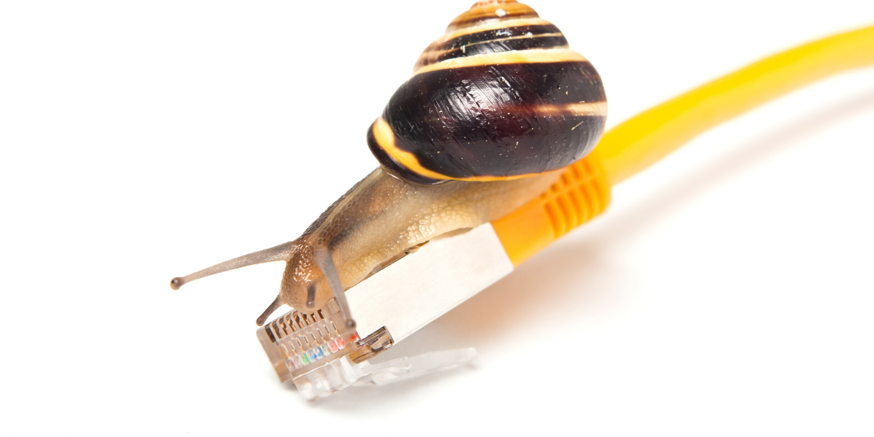 NetworkSlow.png