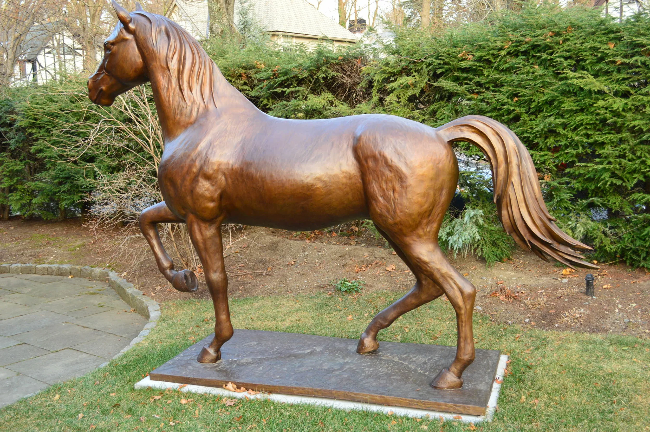 DSC_1318.JPG