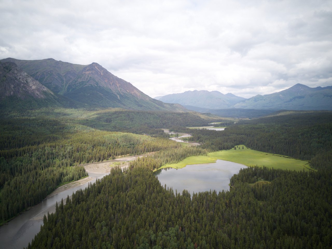 Photo_TamoCampos_HeadwatersOfStikine_DJI_0022.jpg