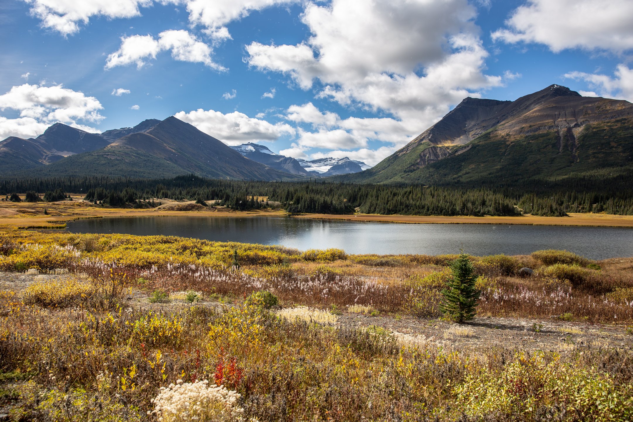 Photographer_JeffWirth_Caption_HeadwatersOfSkeena_QT9A5207.jpg