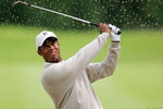 3085500-5041897-thumbnail.jpg