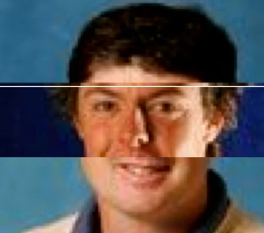 composite.jpg