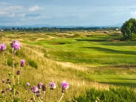 dundonald16.jpg