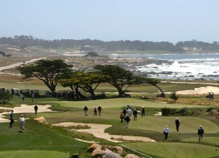 mpcc11a.jpg