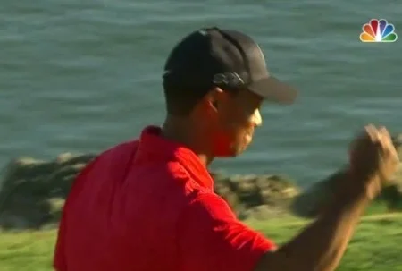 tigerwinsbayhill12.jpg