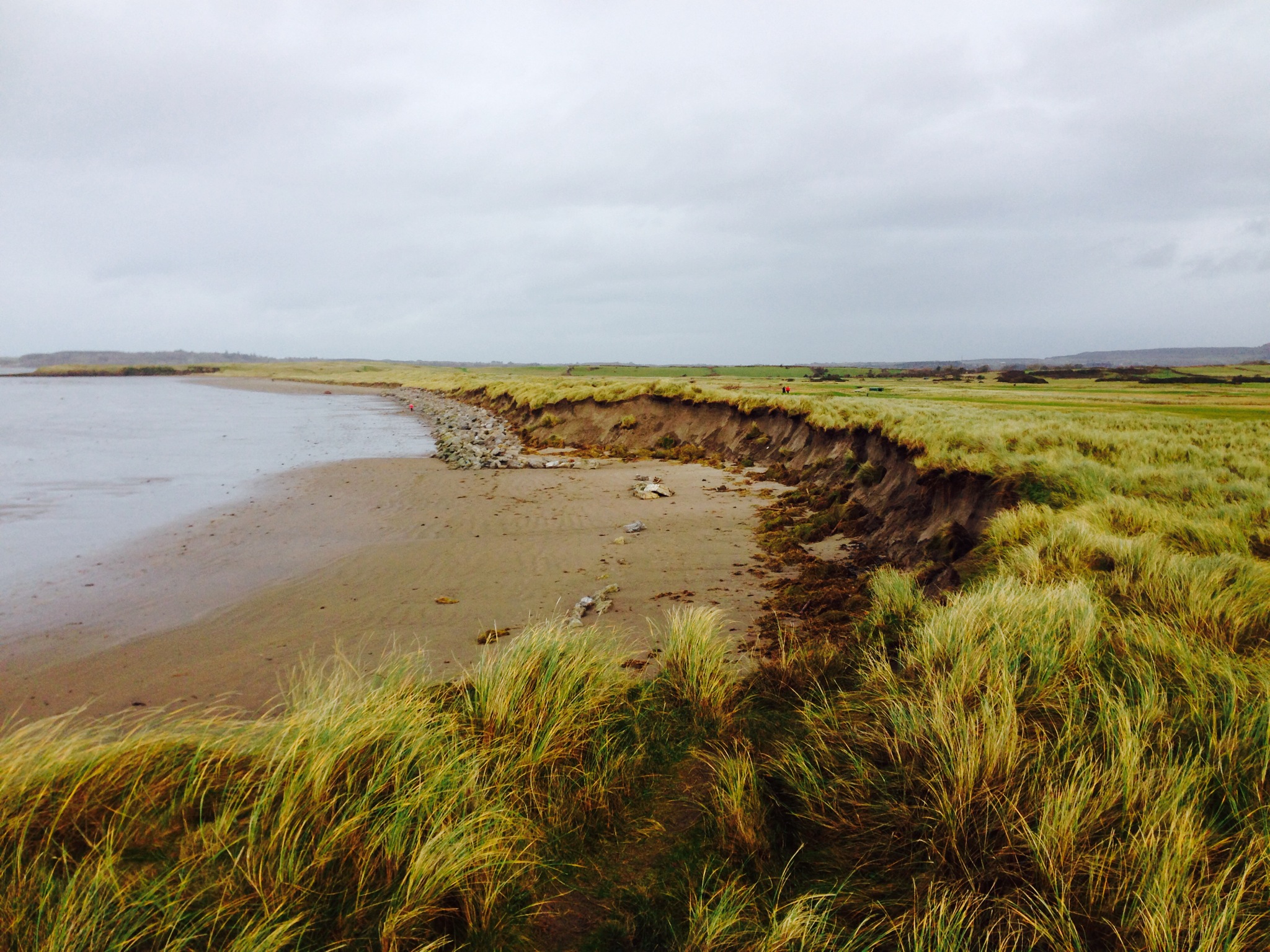 Erosion along the right side of the famous 17th hole at County Sligo Golf Club, Rosses Point.