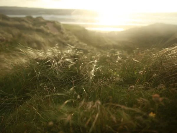 Doonbeg's dunes