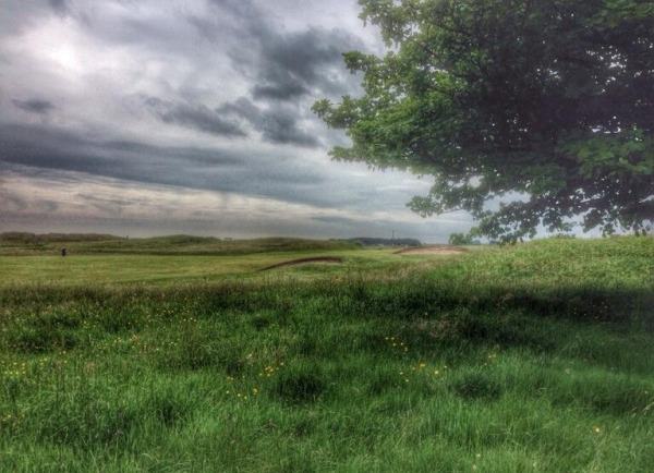 The rough right of the 10th at County Louth. 