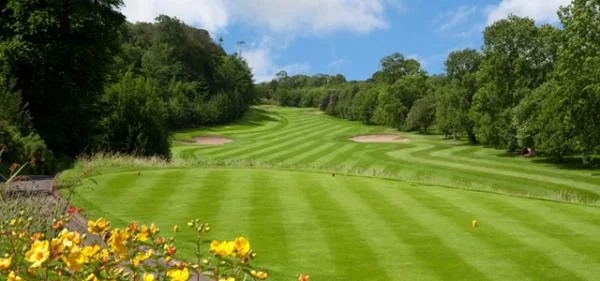 Naas Golf Club will host the final of the Miele All Ireland Fourball Championship on Sunday.