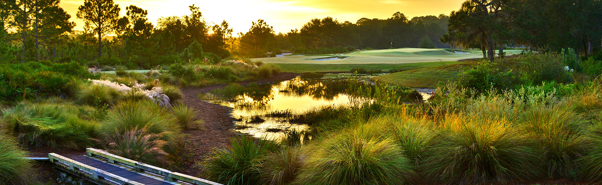 The Concession Golf Club