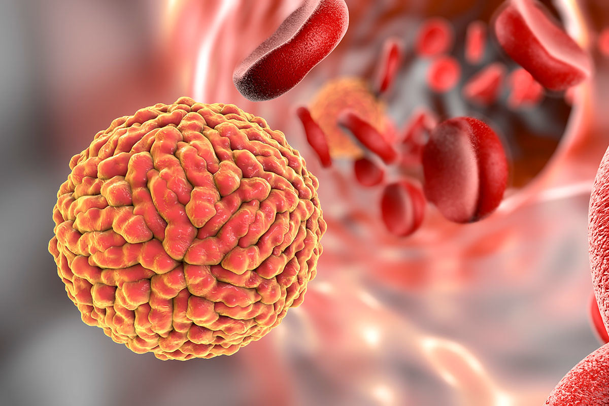 llustration of Zika virus in blood by Kateryna Kon/Science Photo Library. Via New Scientist