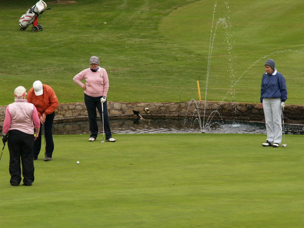 Last chance help Dyslexia Association in Friday's Mary McKenna Golf Classic