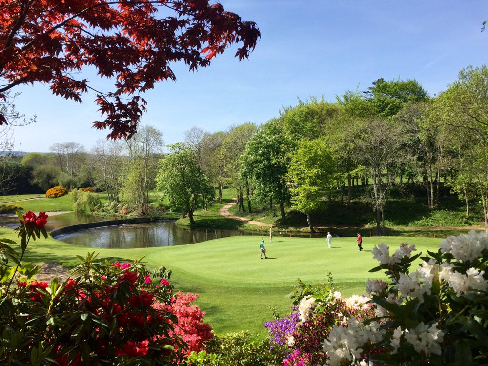 Druids Glen 8th hole.jpg