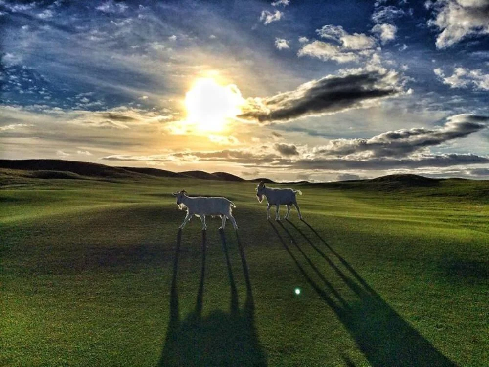 Lahinch will be "major" attraction for Open hopefuls