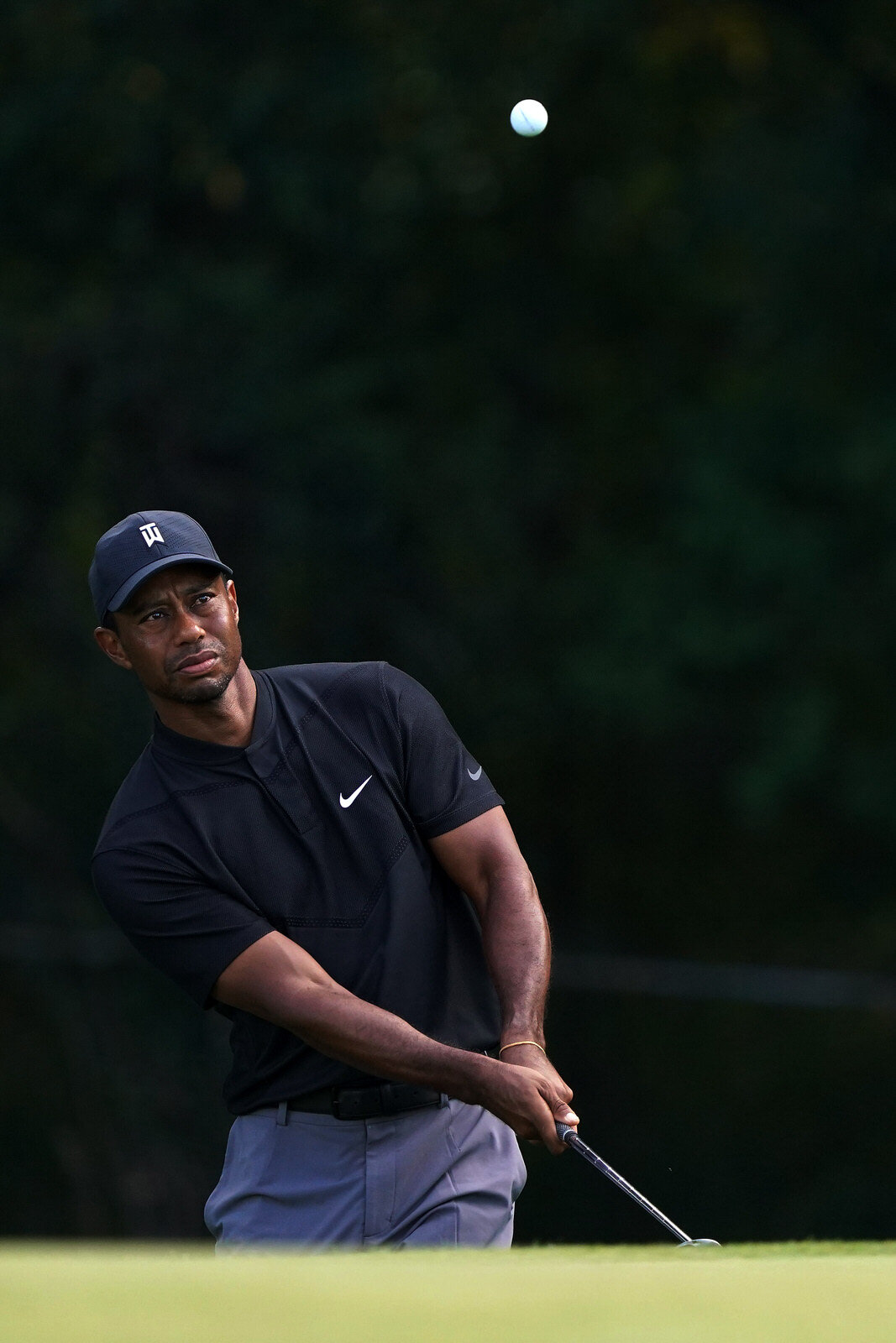  OLYMPIA FIELDS, ILLINOIS - AUGUST 29: Tiger Woods of the United States chips to the fifth green during the third round of the BMW Championship on the North Course at Olympia Fields Country Club on August 29, 2020 in Olympia Fields, Illinois. (Photo 