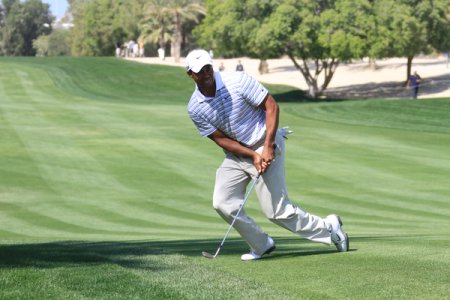 "I'm not sure we are going to see him dominate again" - McIlroy