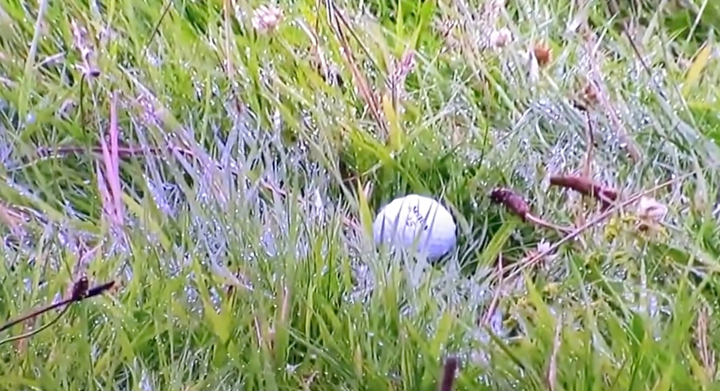“The naked eye test is satisfied whether or not the player was looking at the ball when it moved” - R&A explains Lowry penalty