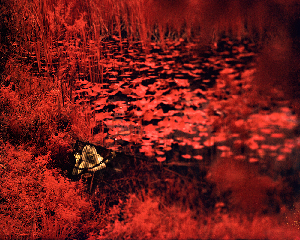 Episode 3 ~ Bleed for Me Again * Large Format Infrared * 10 Print Limited Edition