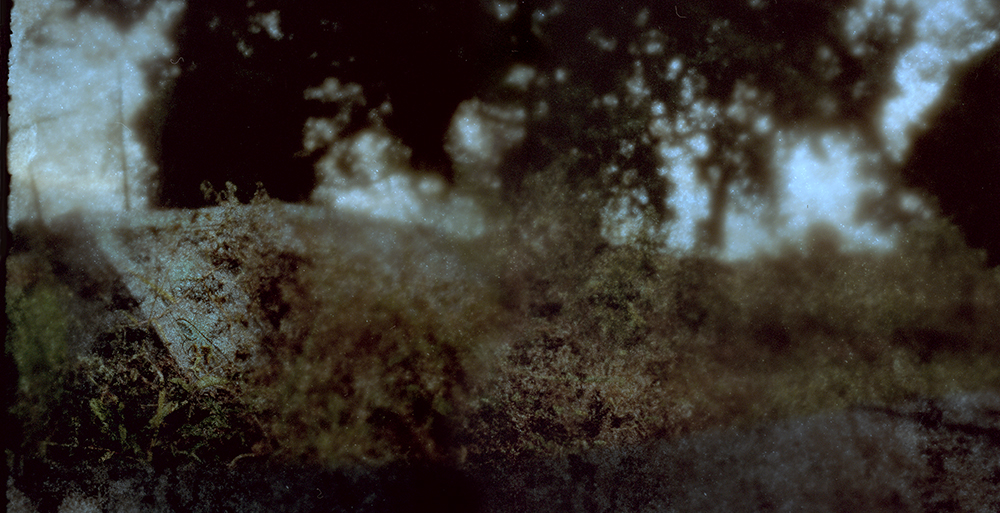 In Memories Past 1 * Medium Format Color Reversal
