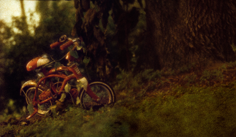 Fragile Dreams * Medium Format Color Negative