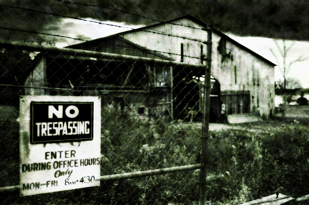 Black Lodge * 35mm Tinted B&W