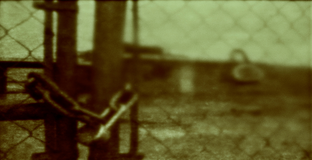 Aphotic Devastation ~ Episode 9 * 35mm Tinted B&W
