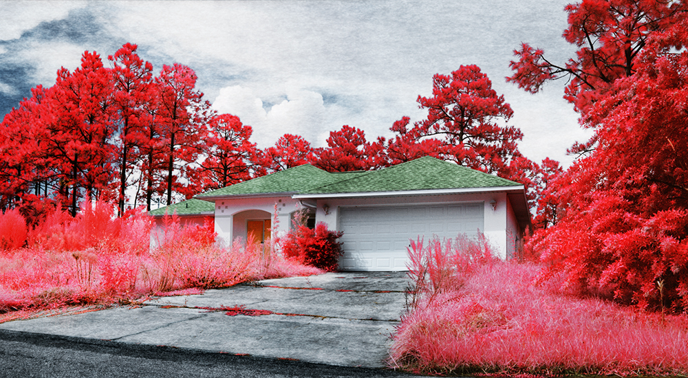 Blight * Medium Format Infrared