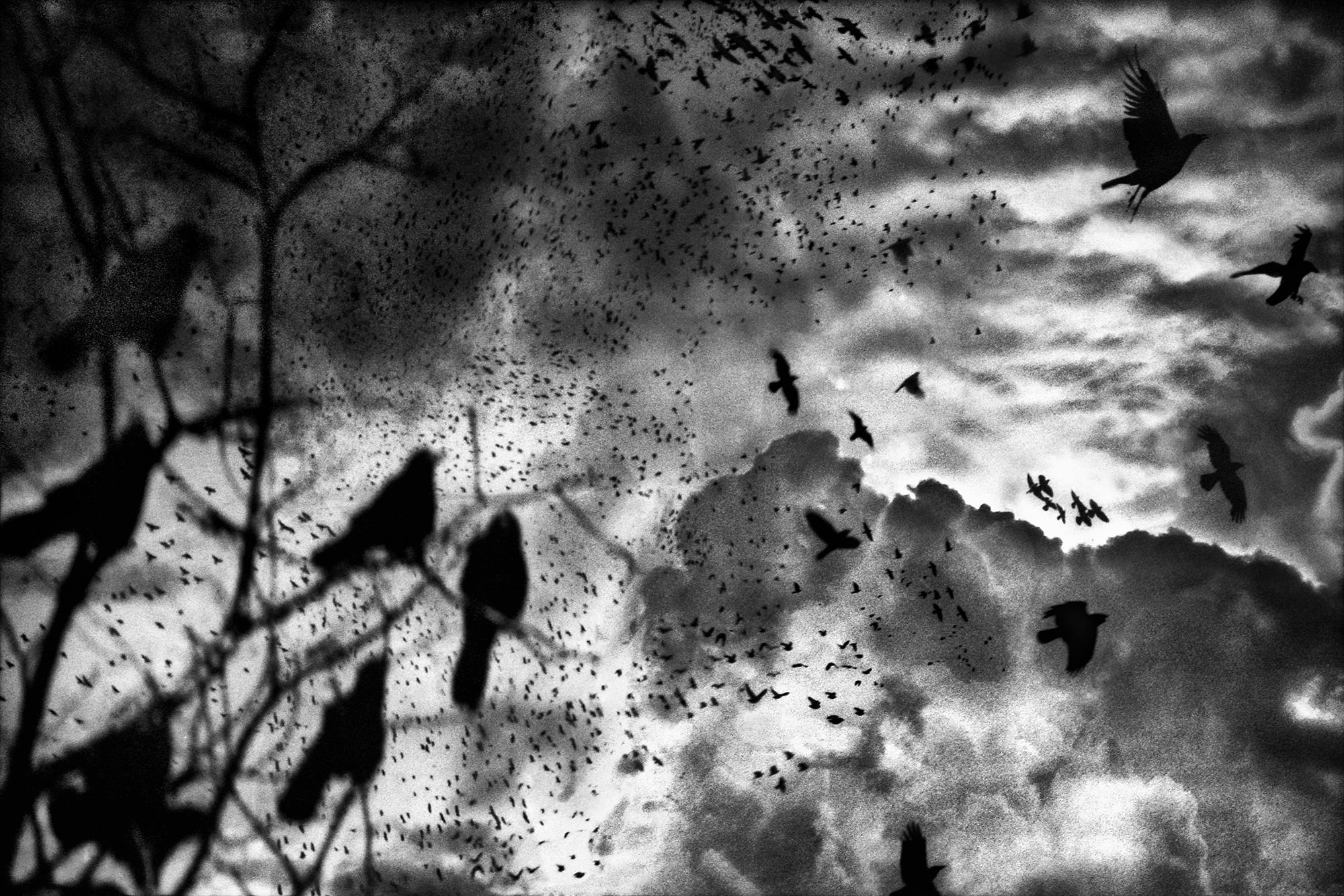 Scars of the Shattered Sky ~ Episode 1: The Return