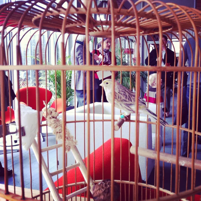 gard_birdcage.jpg