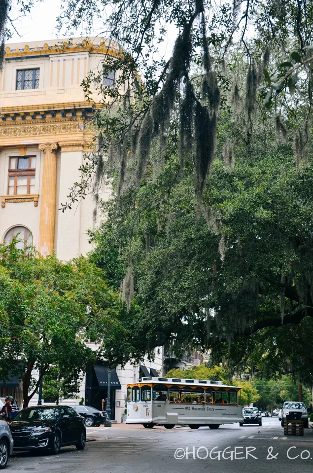 Savannah_Squares_Houses_2013_©HOGGER&Co._016.jpg