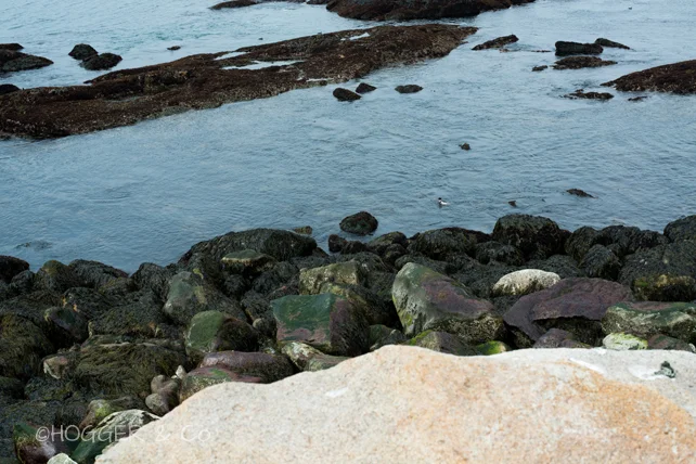Rockport_2014_©HOGGER&Co._002.jpg