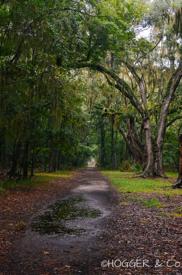 Savannah_Wormsloe_Plantation_2013_©HOGGER&Co._002.jpg