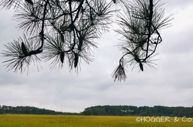Savannah_Wormsloe_Plantation_2013_©HOGGER&Co._024.jpg