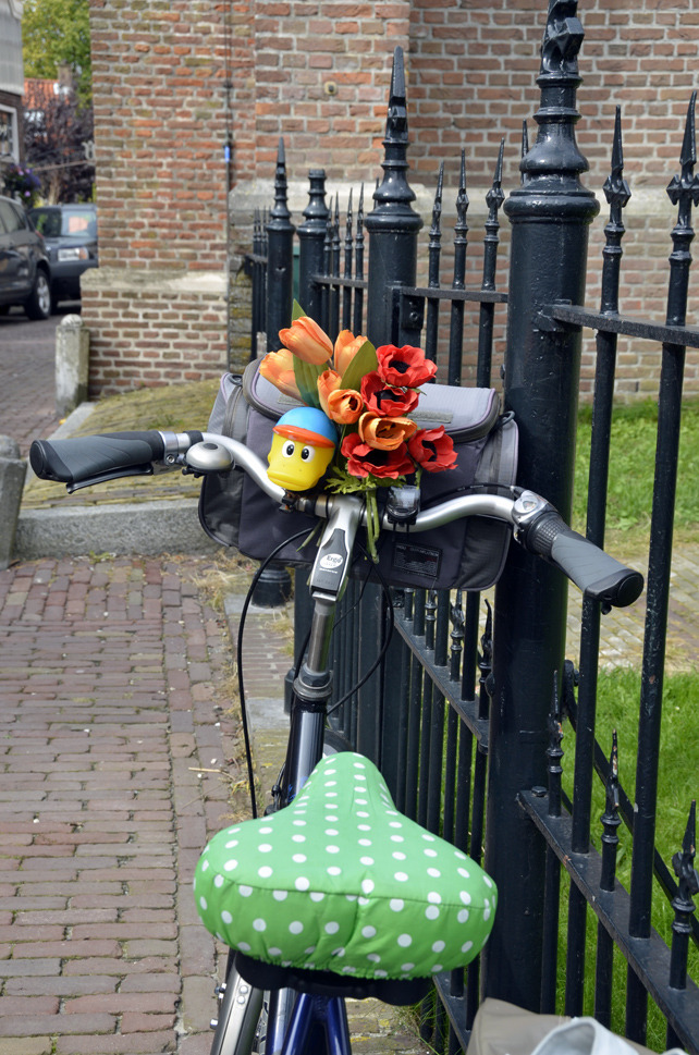 edam21.jpg