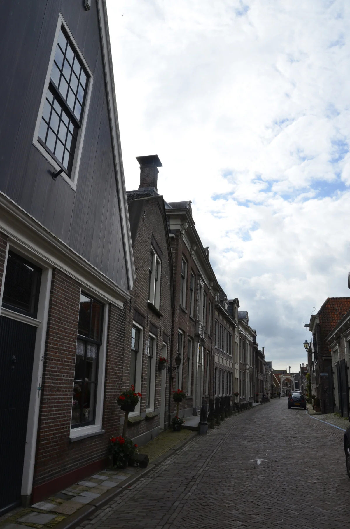 edam7.jpg