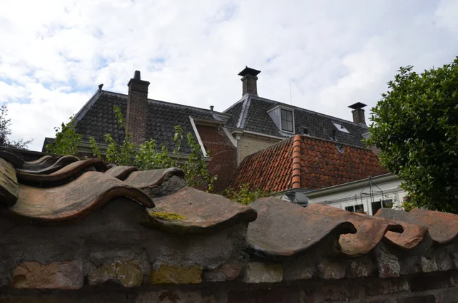 edam5.jpg