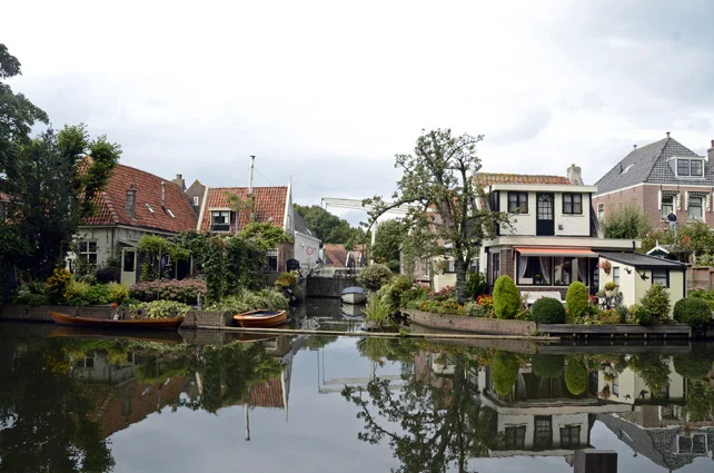 edam3.jpg